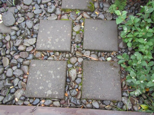 Skimað eftir formum í útikennslu