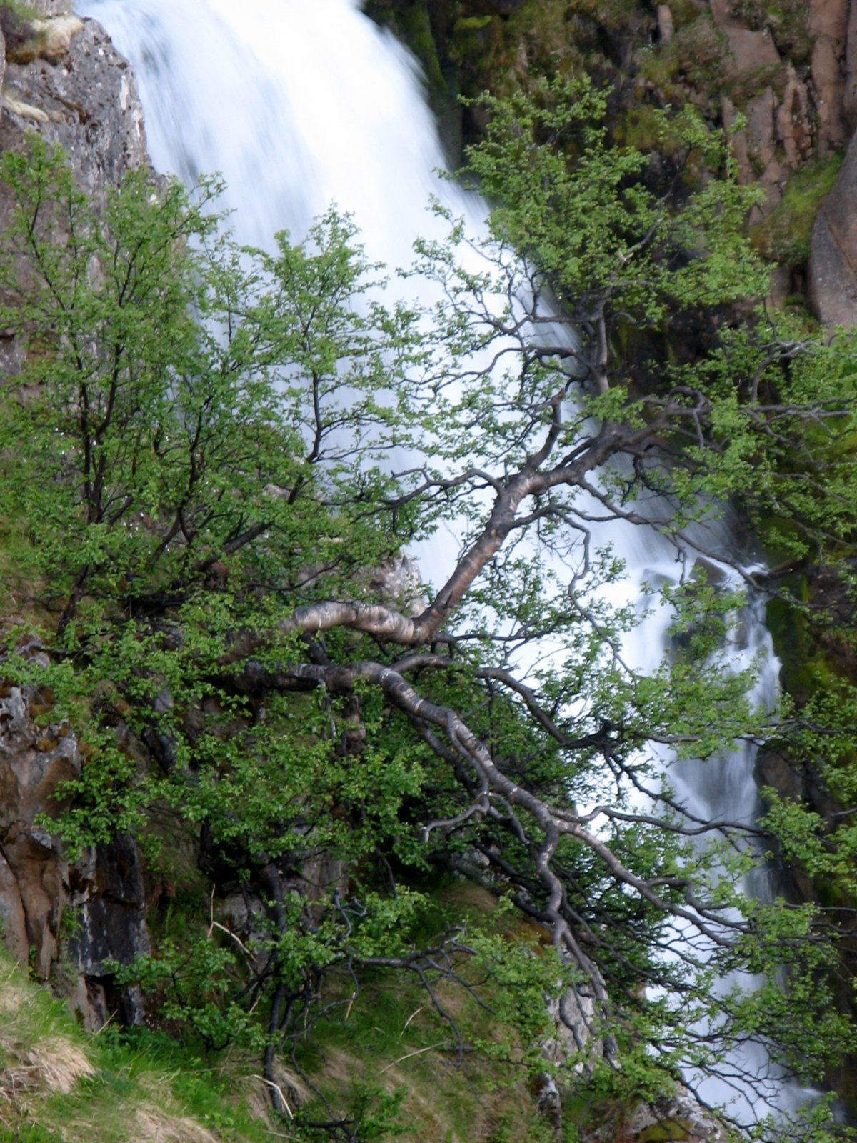 Heitavatnslaust frá Húsabakka - Hreiðarsstaðakoti
