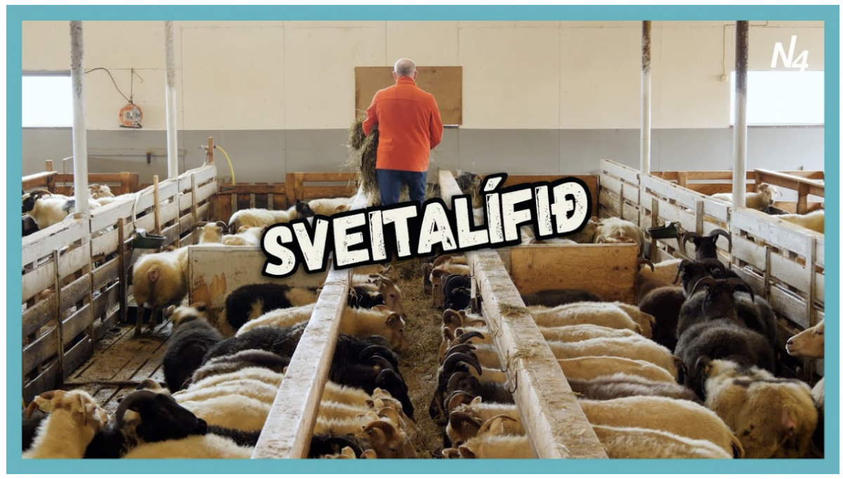 Sveitalífið á Krossum