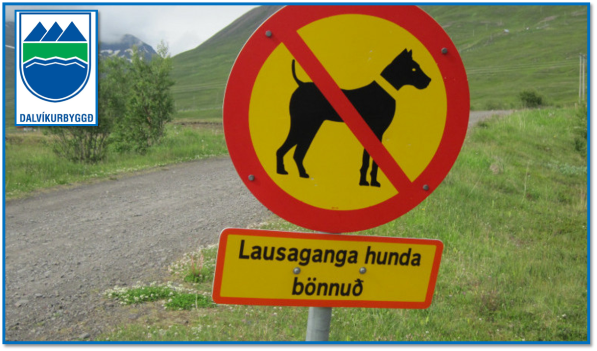 Tilkynning vegna lausagöngu hunda.