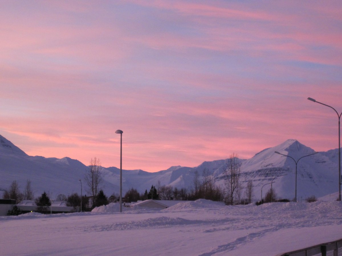 Bein símanúmer deilda