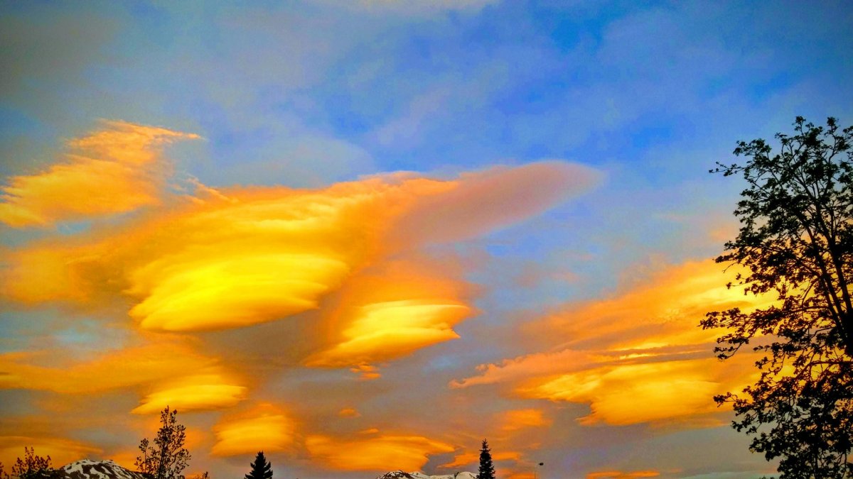 Lóðaúthlutanir í Dalvíkurbyggð