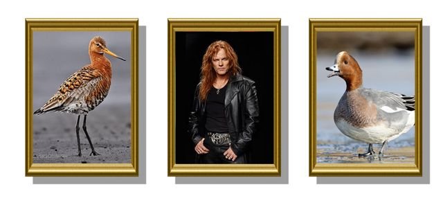 Áramótakveðja frá Náttúrusetrinu á Húsabakka