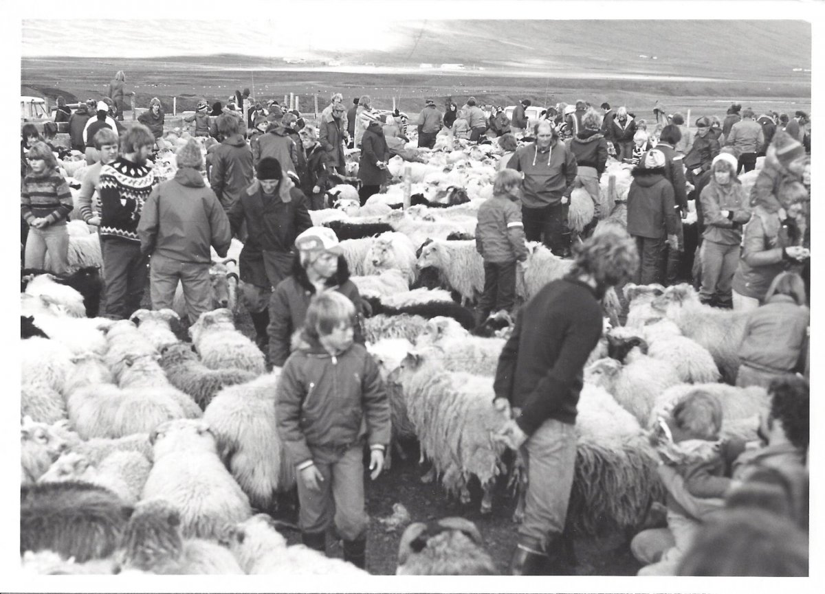 Mynd frá Héraðskjalasafni Svarfdæla