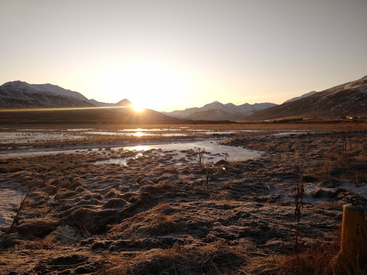 319. fundur sveitarstjórnar