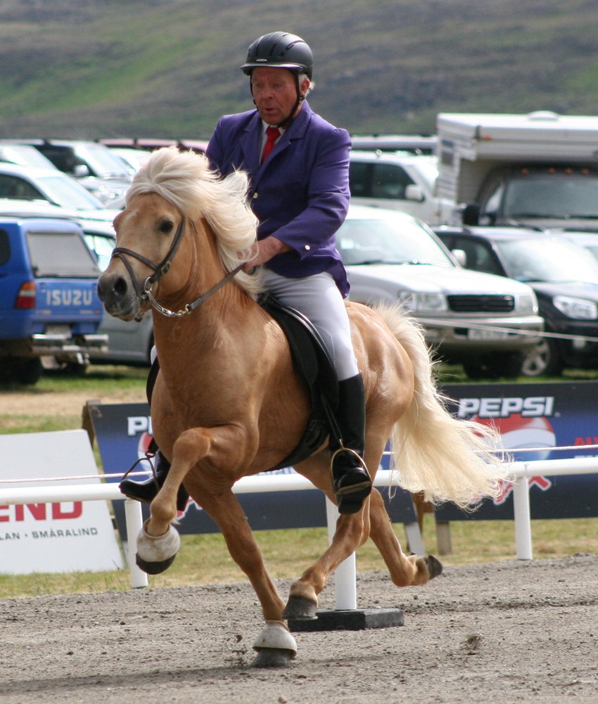 50 ára afmælisfagnaður Hrings