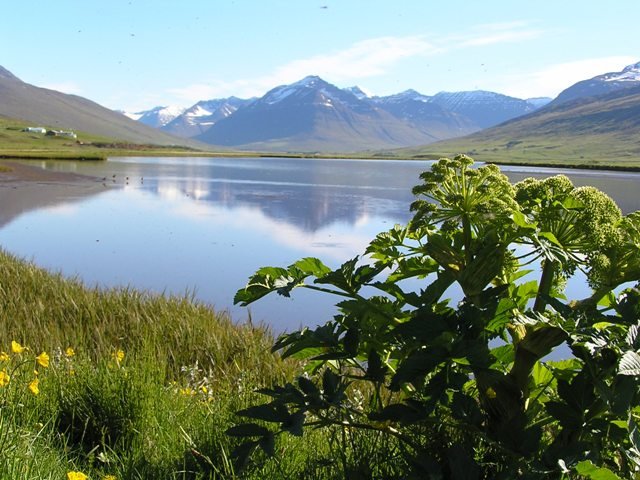 Varanlegt slitlag komið á Svarfaðardalshringinn!