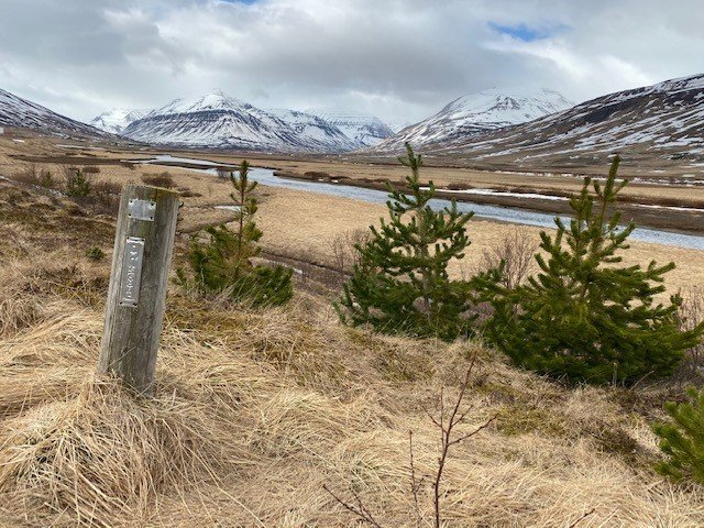 Styrkir til greiðslu fasteignaskatts 2020