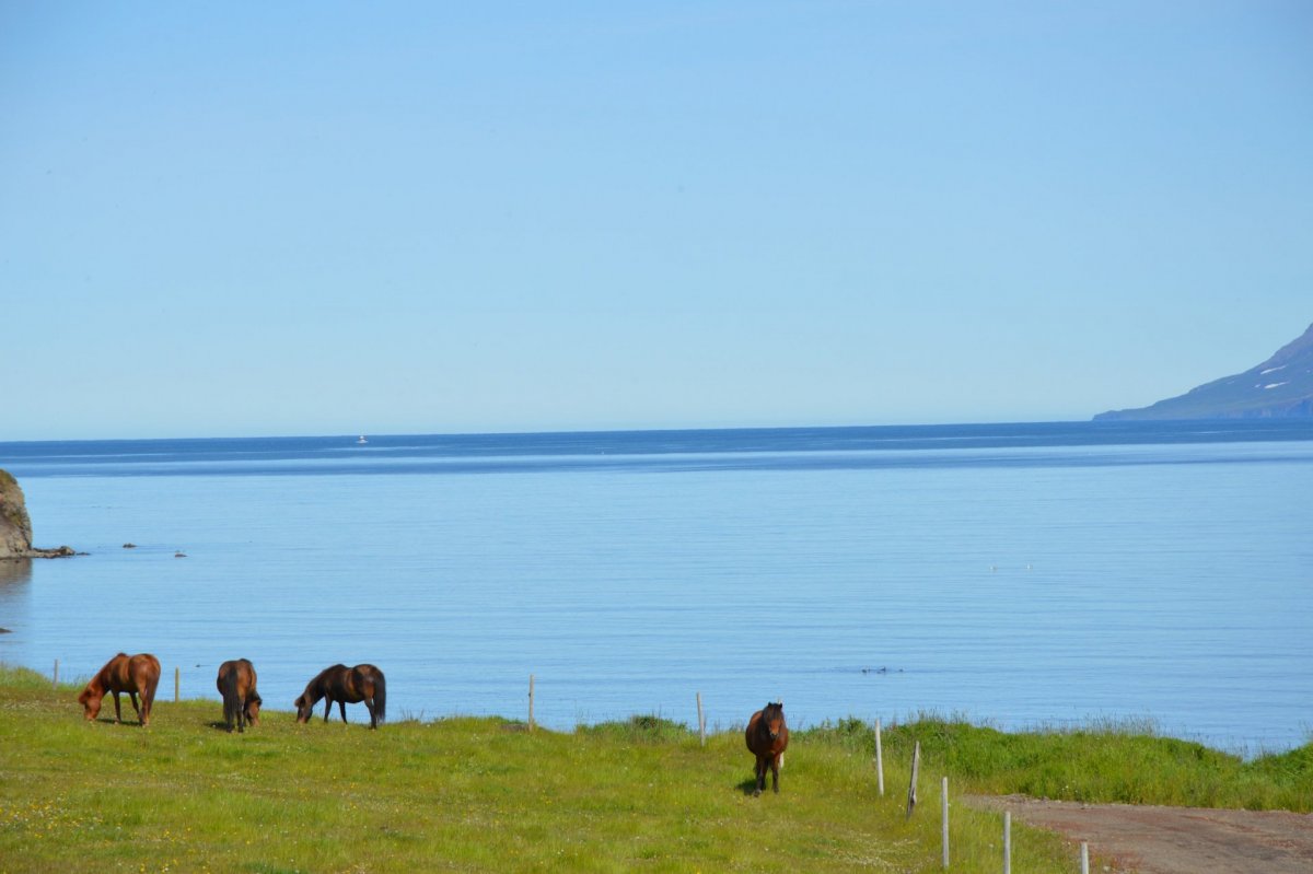 Umsagnir um stækkun lóðar við Árskóg