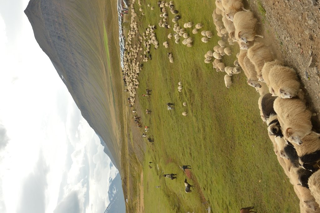 Tungurétt vígð í blíðskaparveðri