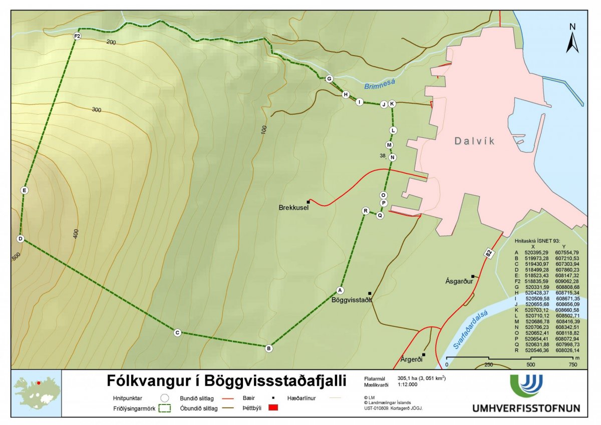 Berjatínur í fólkvanginum
