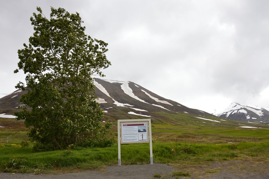 Upplýsingarskilti um Upsi