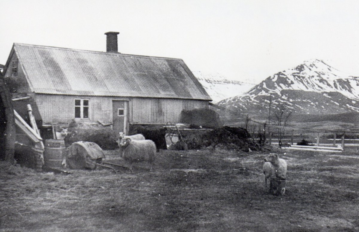 Hús vikunnar - Vegamót