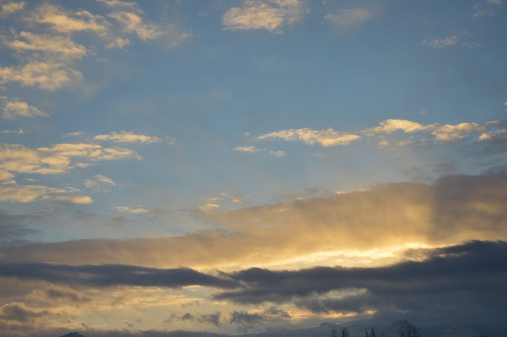 Menningar- og viðurkenningarsjóður auglýsir eftir umsóknum