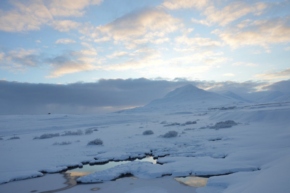 Fasteignagjöld og útsvar árið 2019