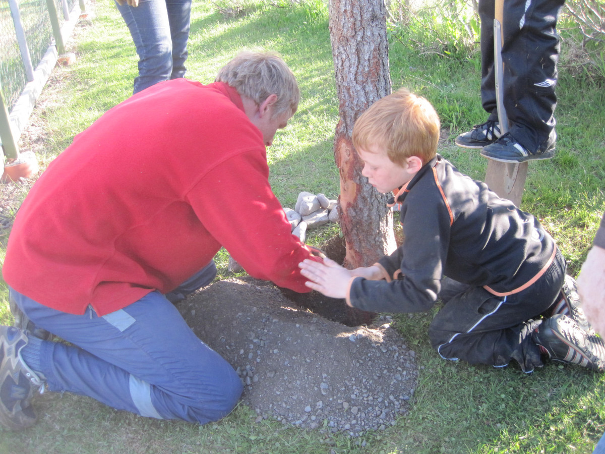 Samvinna heimilis og skóla - leikskólalóðin