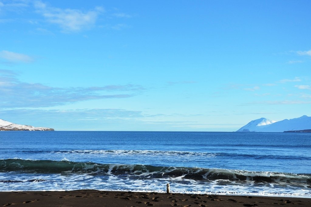 COVID-19 - Leiðbeiningar/Instructions/Instrukcje