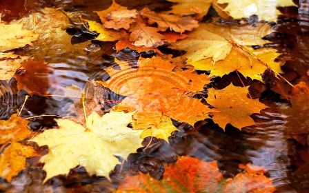 Fréttabréf október