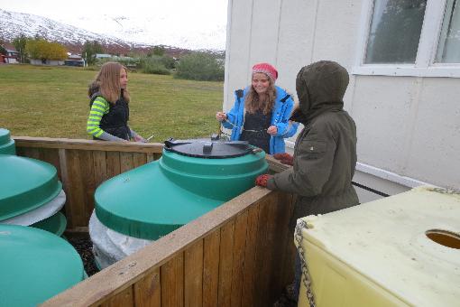 Stærðfræði - 8. bekkur