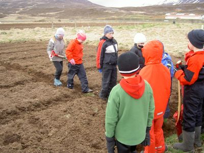 Umhverfisdagur í Árskógarskóla