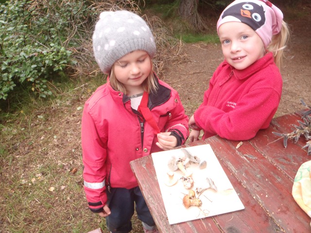 Samkennsla skólastiga