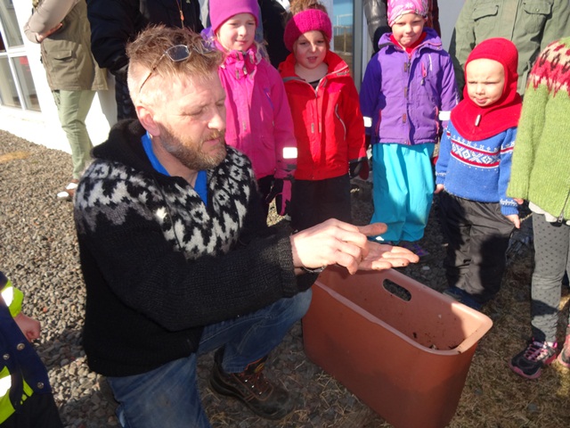 Matjurtagarður í Árskógi