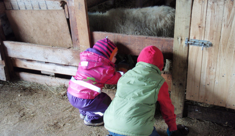 Sveitaferð á Hámundarstaði