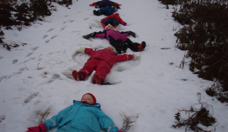 Kötlukot í skógreitnum nóv