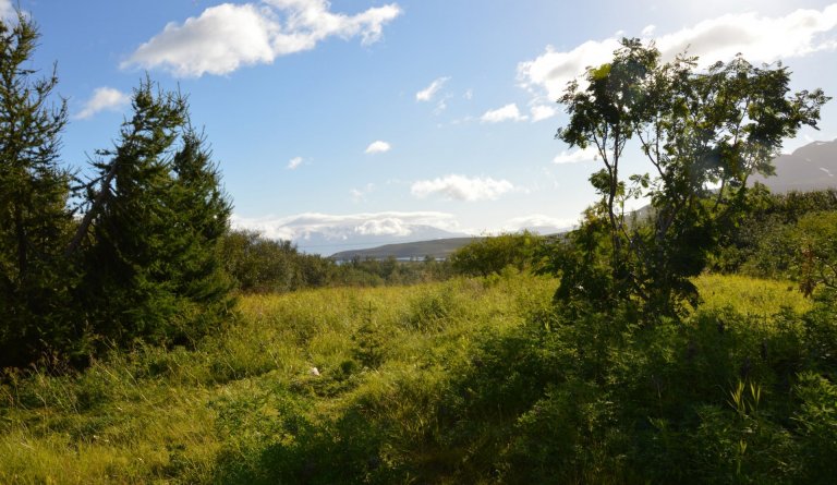 Veðurspá maímánaðar frá Veðurklúbbnum á Dalbæ