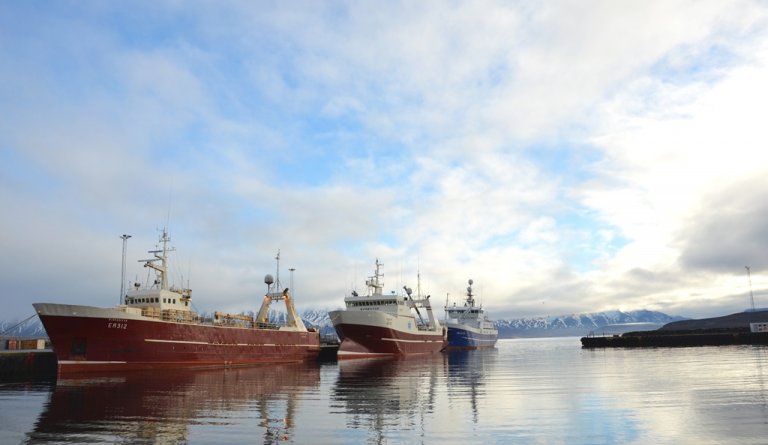 Togarar og skip í heimahöfn