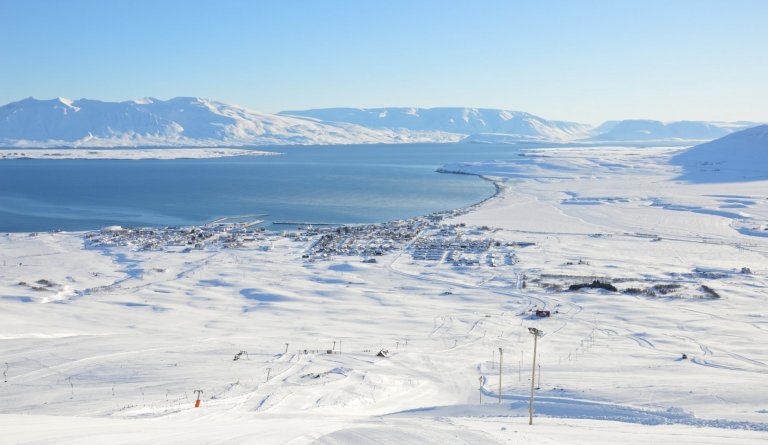 Íþróttamaður Dalvíkurbyggðar 2017 - Kosning