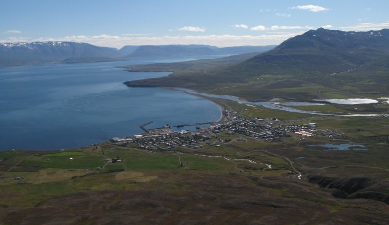 Vorhreinsun í Dalvíkurbyggð