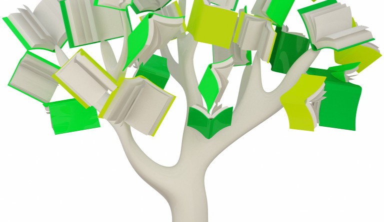 Sumaráhrifin og lestur