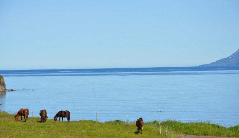 Veðurspá júnímánaðar frá Veðurklúbbnum á Dalbæ
