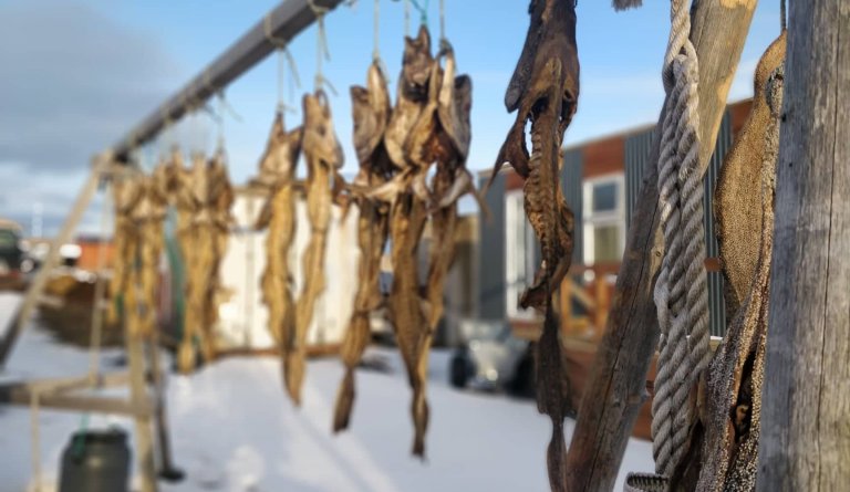 Fyrirtæki ársins hjá Markaðsstofu Norðurlands