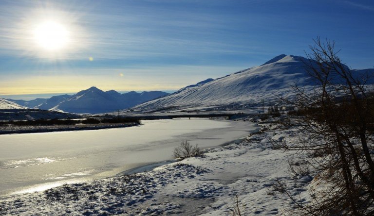 Kjör á íþróttamanni Dalvíkurbyggðar