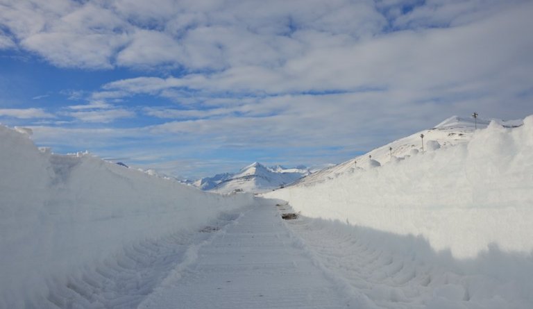 Dalvíkurbyggð auglýsir útboð