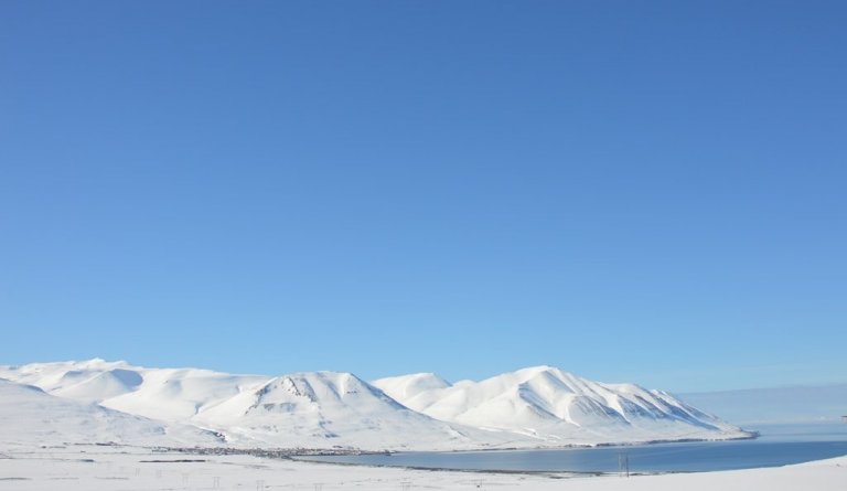 COVID-19;  Áhrif á þjónustu og starfsemi félagsþjónustu Dalvíkurbyggðar og þjónustu við fatlað fólk …