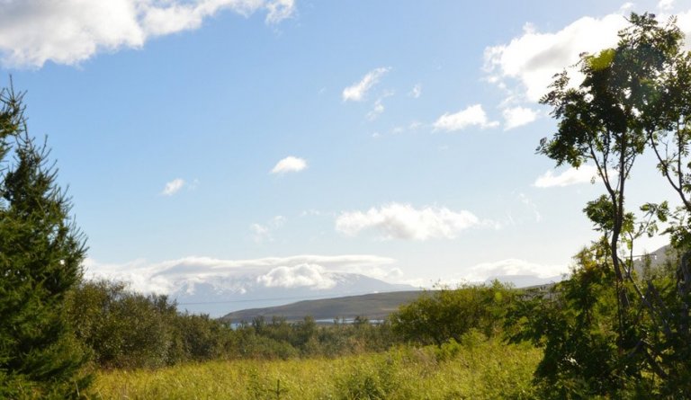 Starfsmaður óskast til sumarafleysinga við heimilisþjónustu