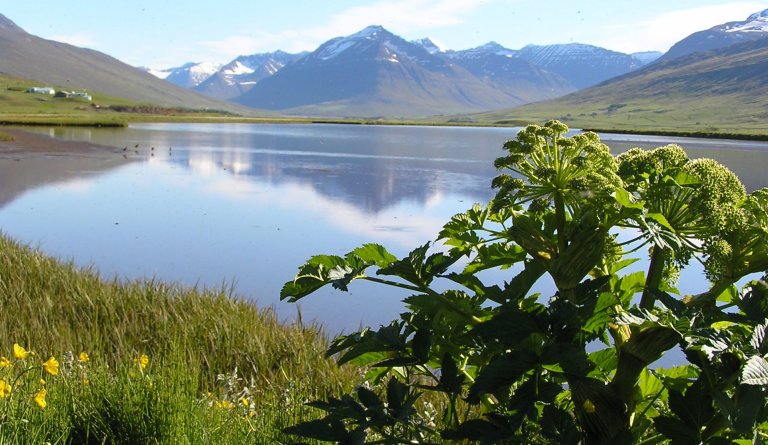 Heitavatnslaust frá Völlum og fram austurkjálkann í Svarfaðardal