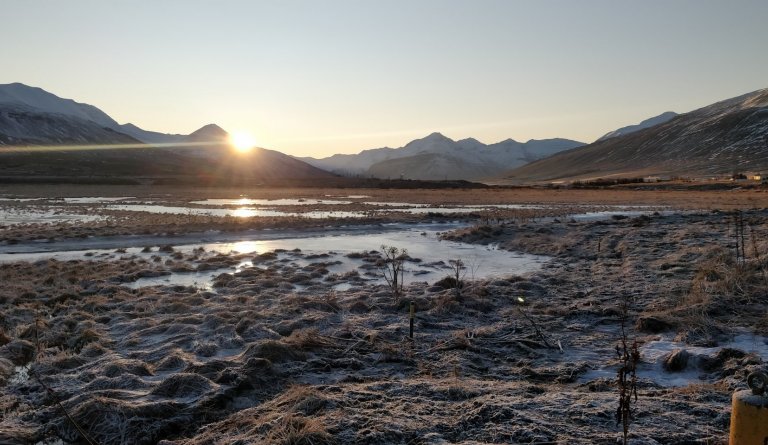 Krílakot í sóttkví fram að næstu helgi.