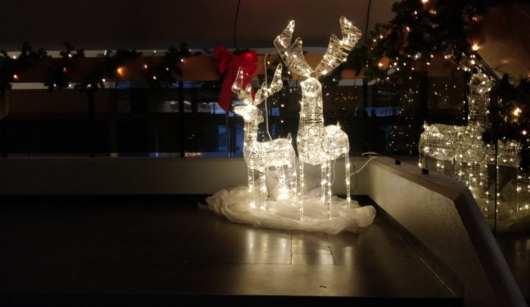 Umsóknir um jólaaðstoð á Eyjafjarðarsvæðinu 2020