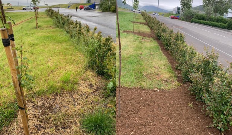 Er ekki tími til kominn að klippa?