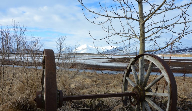 Laus til umsóknar - störf við íbúðakjarna og skammtímavistun