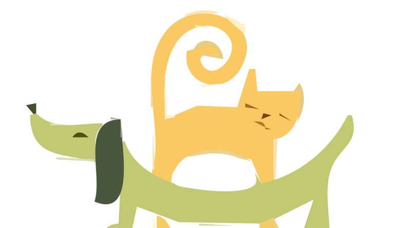 Aukadagur í hunda- og kattahreinsun