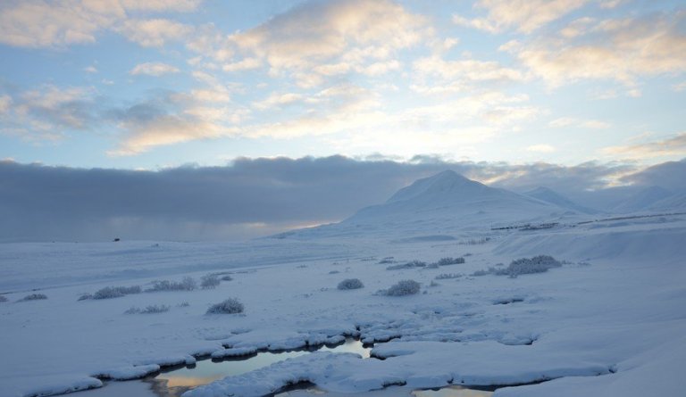 Útboð – Hádegisverður fyrir Dalvíkurskóla og Árskógarskóla 2022 - 2025