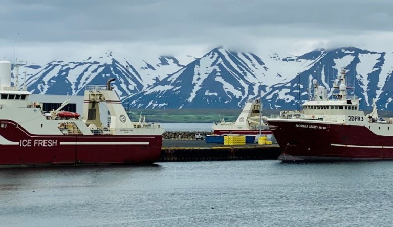 Markaðsátak Dalvíkurhafna - kynningarfundur