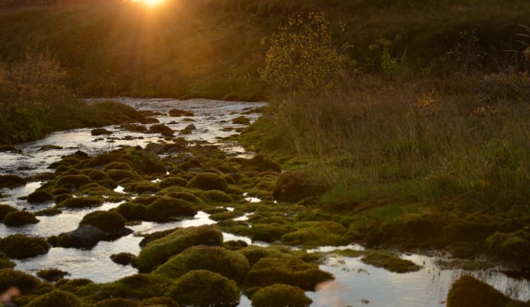 Laust til umsóknar - Hlutastörf við íbúðakjarna og Skammtímavistun