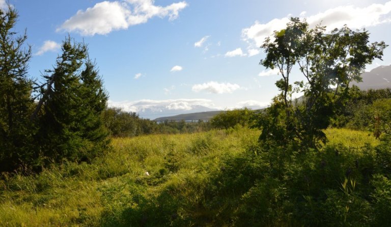 Sumarleyfi sveitarstjórnar