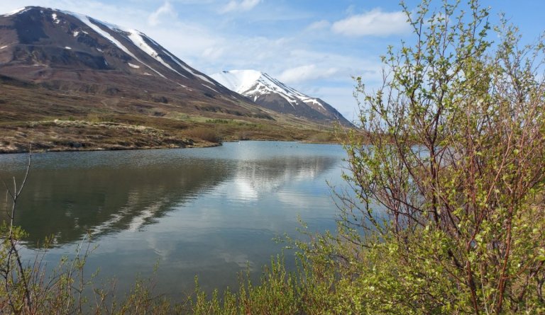 Laust til umsóknar - umsjónarkennarar